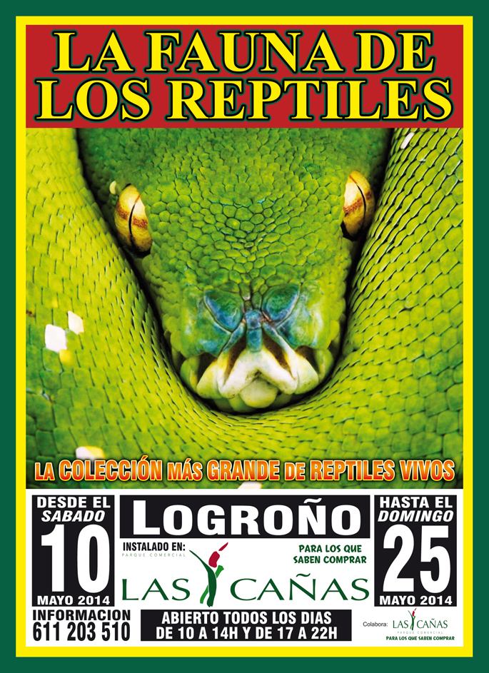 Cartel exposicion reptiles
